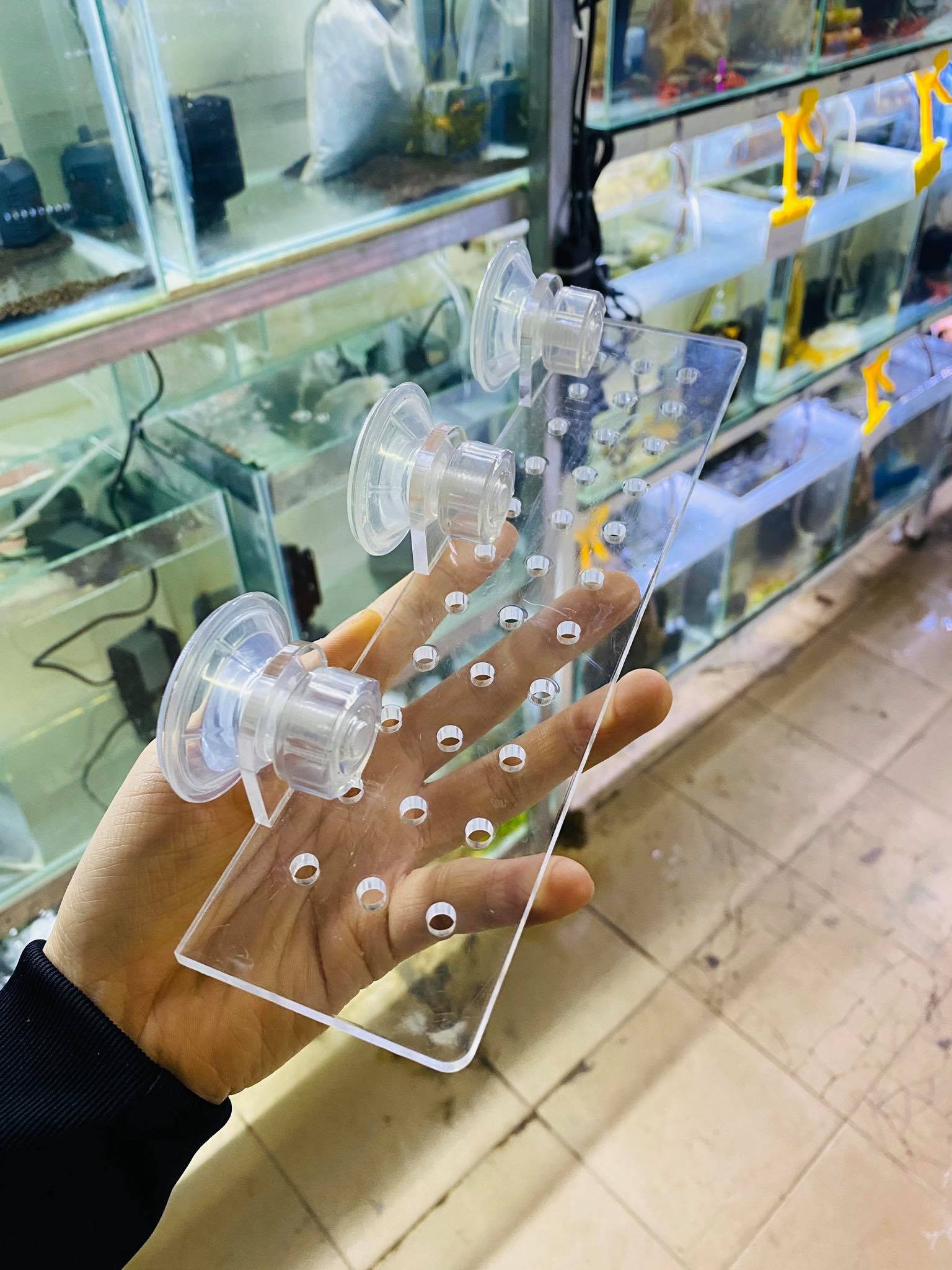 Giá thể mica trồng cây cho bể cá